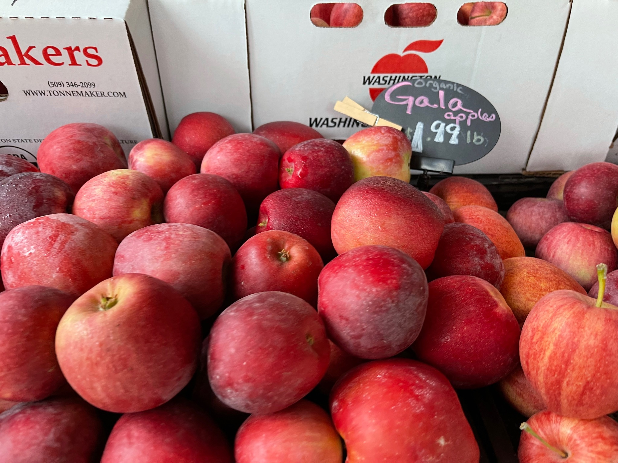 Fresh Apples - Food Photography
